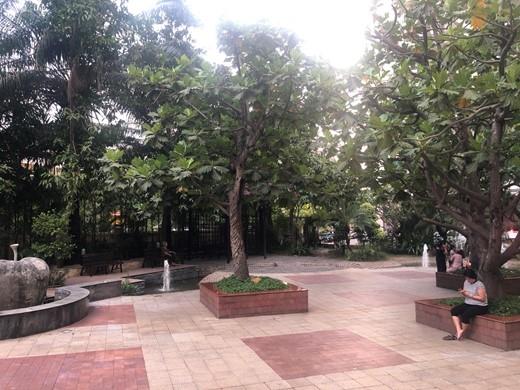 apartment for rent in district 2 hcmc cantavil an phu D226010 (3)